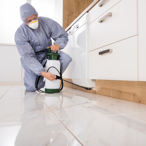 PestControl